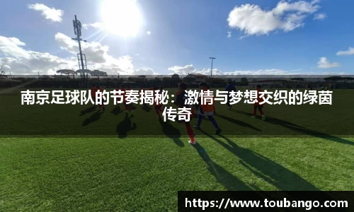 南京足球队的节奏揭秘：激情与梦想交织的绿茵传奇