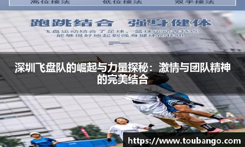 深圳飞盘队的崛起与力量探秘：激情与团队精神的完美结合